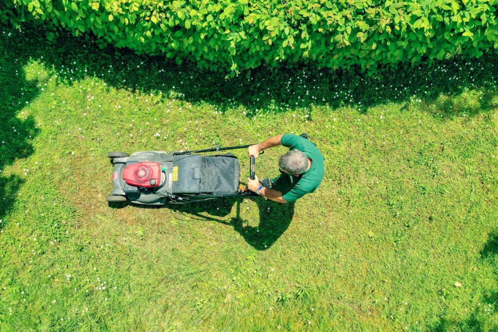 Neuhof-Gartenbau – Gartenpflege mit grossem Know-how