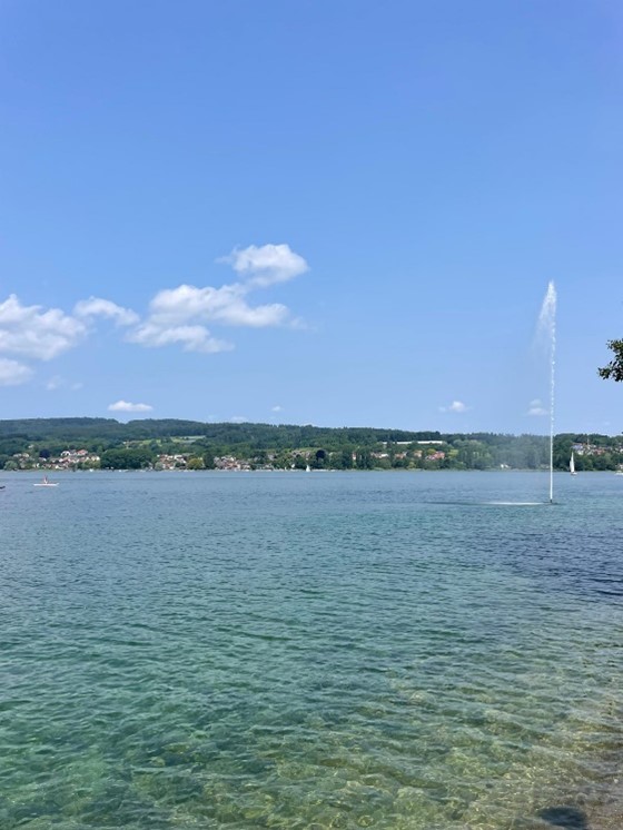 bild6