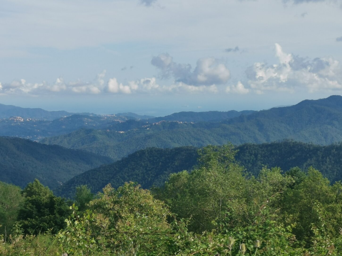img-20250712-174813