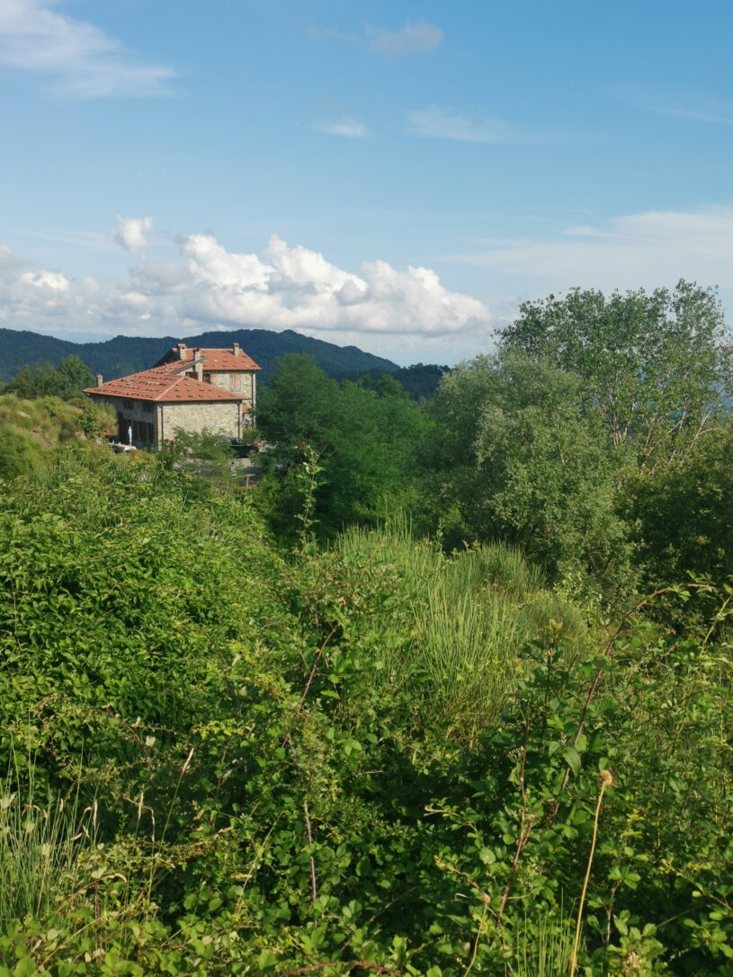 img-20250712-174907