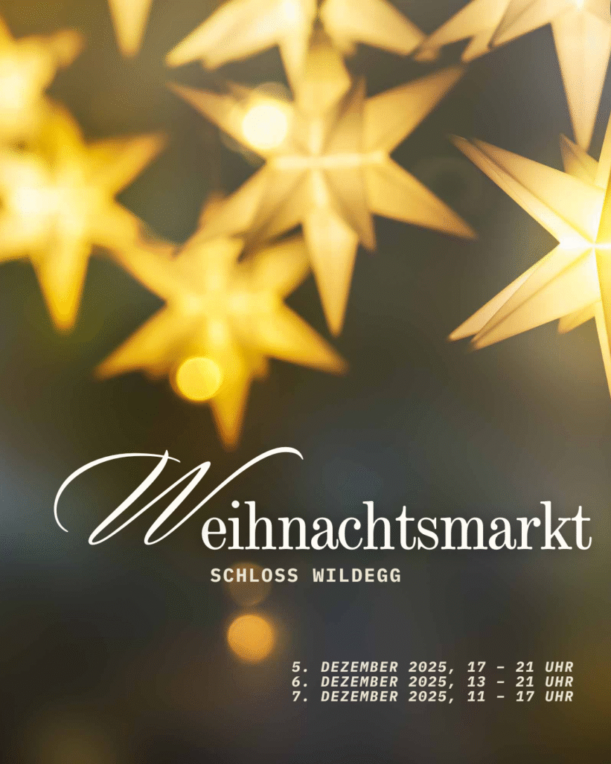 weihnachtsmarkt-schloss-wildegg-info-details-some-post-20251128