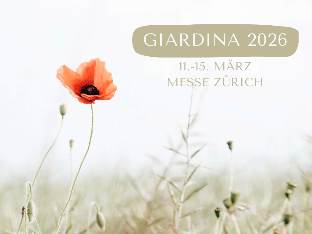 giardina-website-teaser