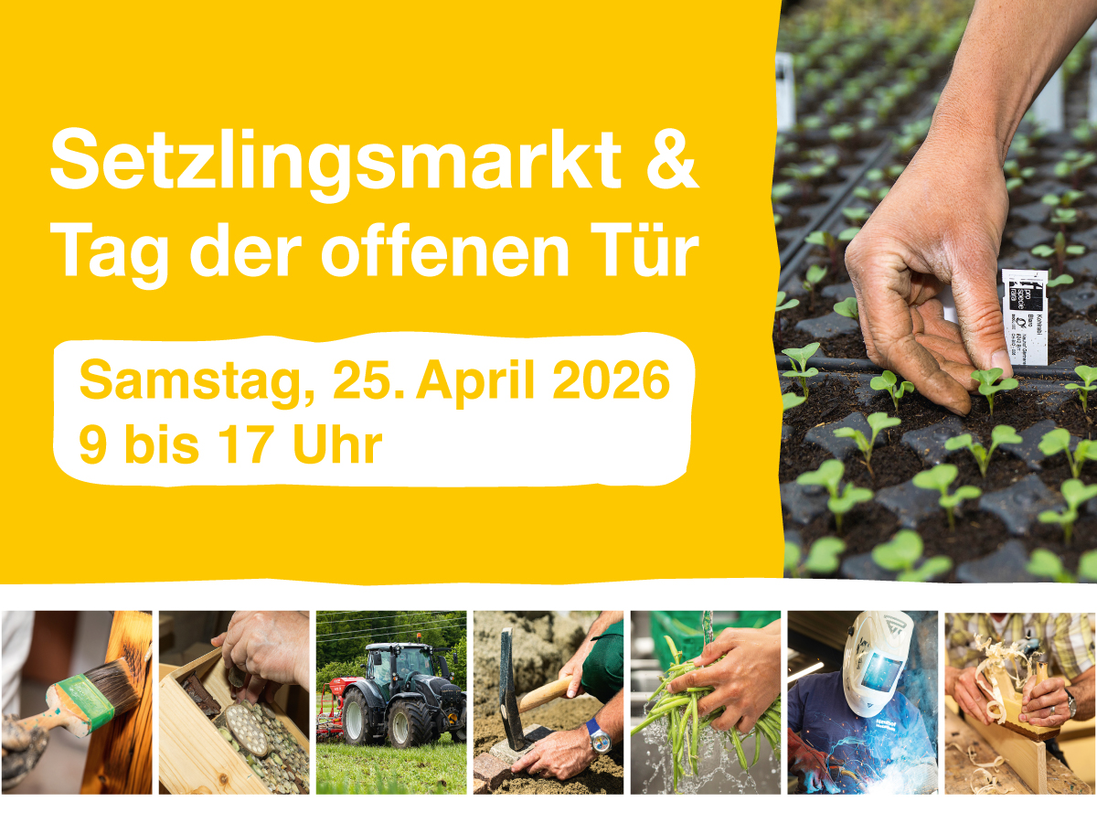 neuhof-setzlingsmarkt-2026-website-teaser-1200x900px