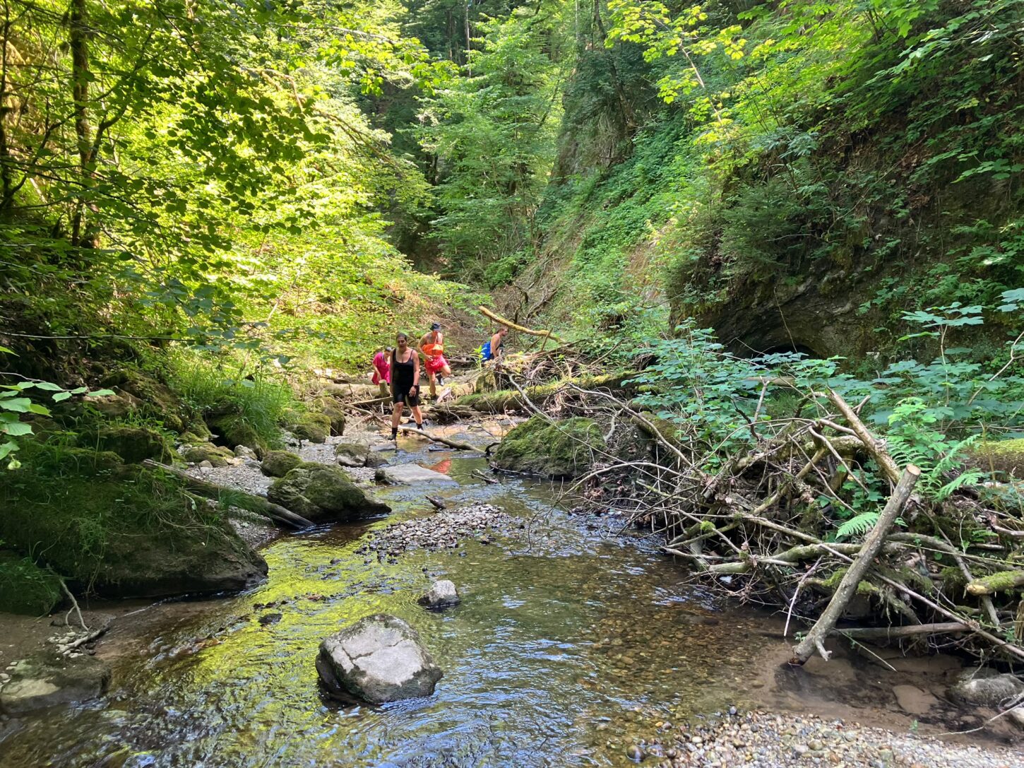 img-20260707-wa0006
