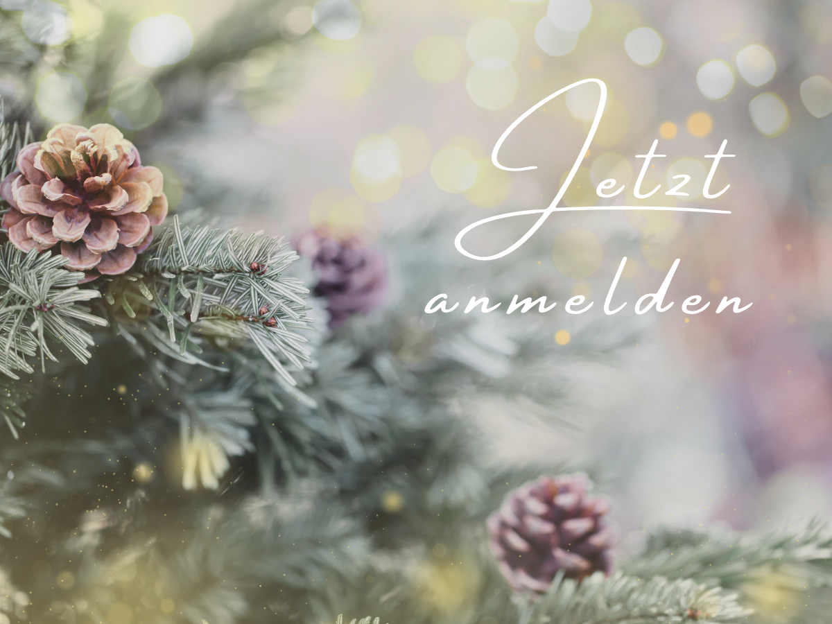 website-teaser-floristikkurse-advent-26